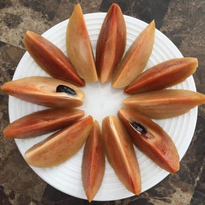 Саподила
Sapodilla
Hồng xiêm 2